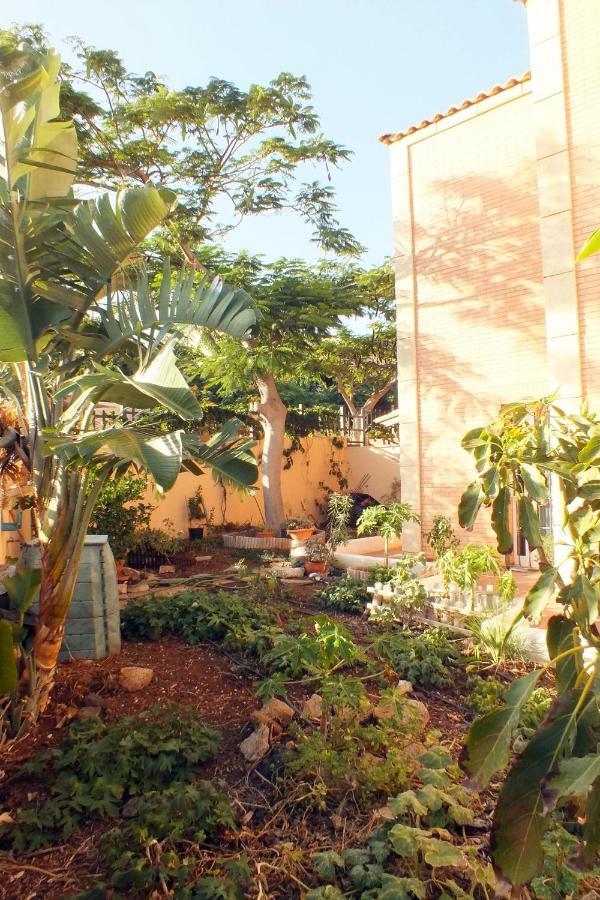 Casa Nea Daire El Rosario  Dış mekan fotoğraf